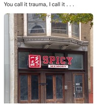 The meme features a photo of a restaurant called "Spicy Memory" with a red sign in the window. The sign has a warning symbol and the words "Spicy Memory" in bold, red letters. The text at the top of the image reads "You call it trauma, I call it..."